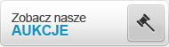 Aukcje PL