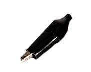 Krokodylek mały Czarny