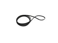 Goblin - High Performance Main Belt