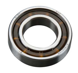 Rear Bearing 55HZ