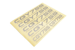 System Flybarless Futaba CGY755