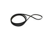 Goblin - High Perfromance Tail Belt